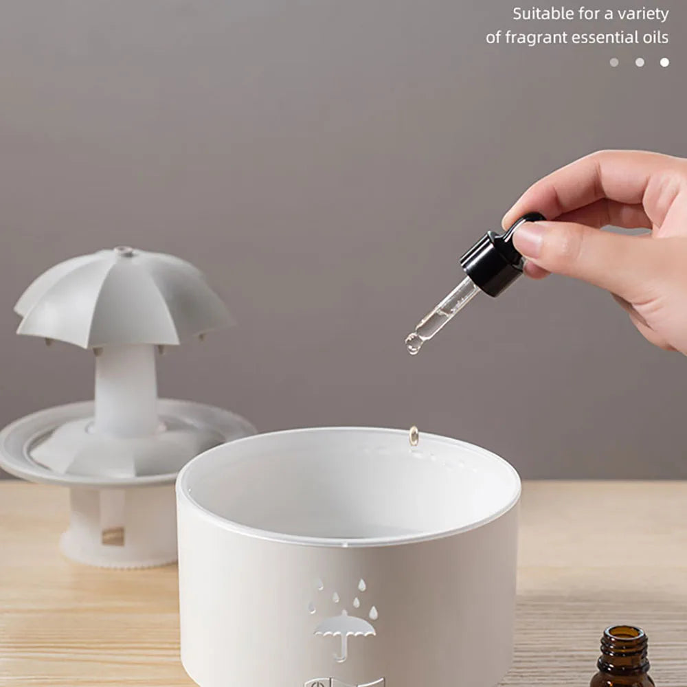 Raindrop Humidifier